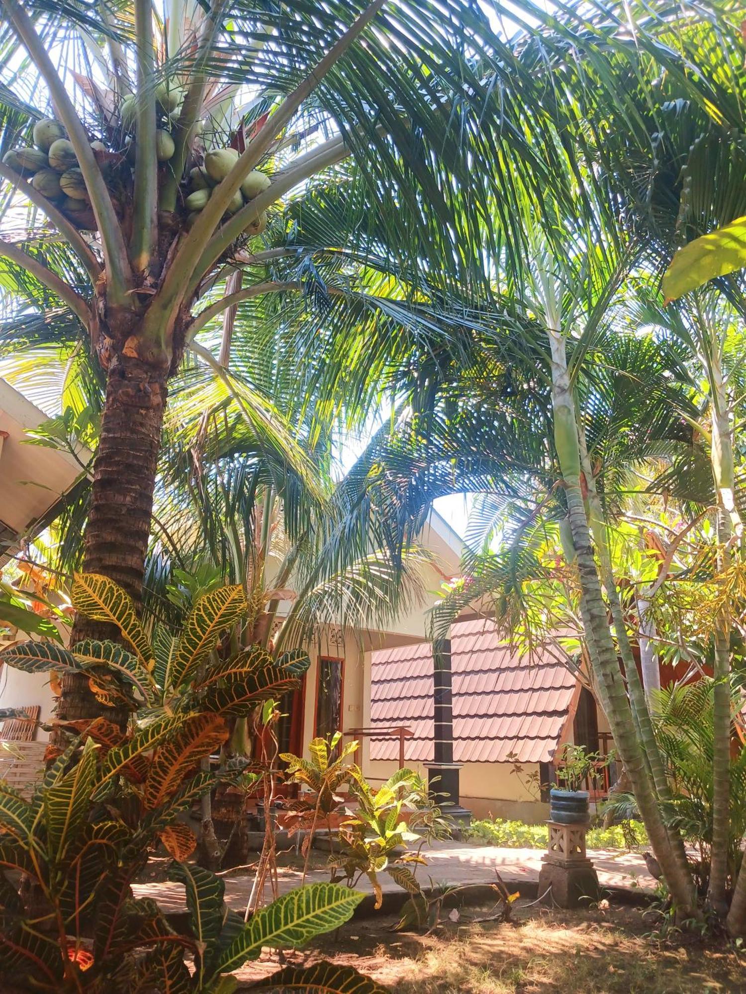 Florine'S Garden Hotel Gili Air Exterior foto
